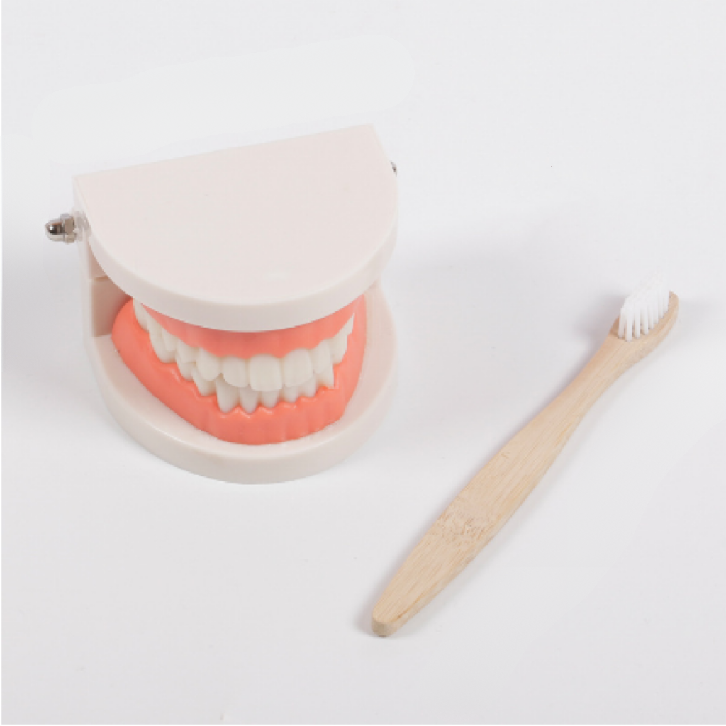 Montessori Brushing Set