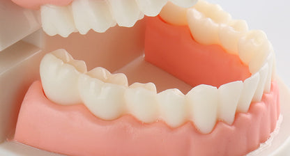 Montessori Brushing Set