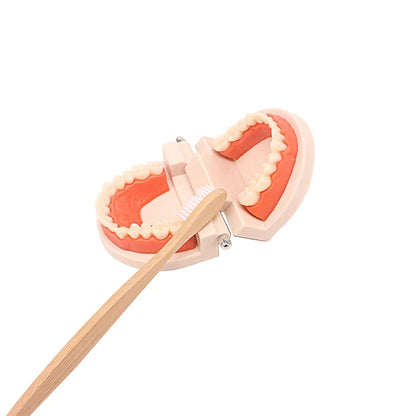 Montessori Brushing Set