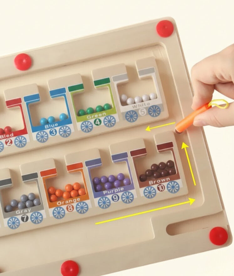 Montessori Color Sorting