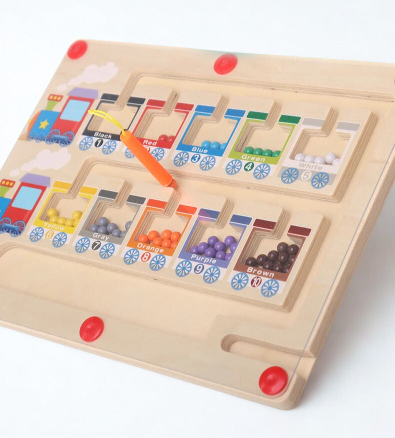 Montessori Color Sorting