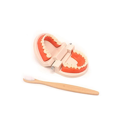 Montessori Brushing Set