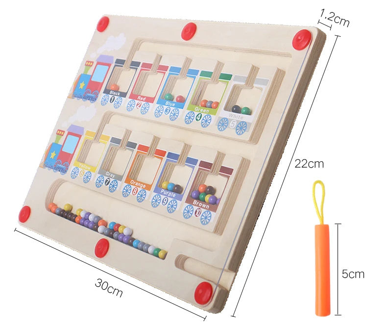 Montessori Color Sorting